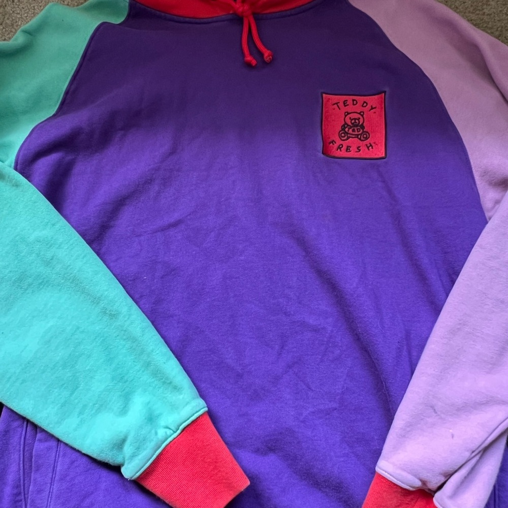 Teddy Fresh color block hoodie